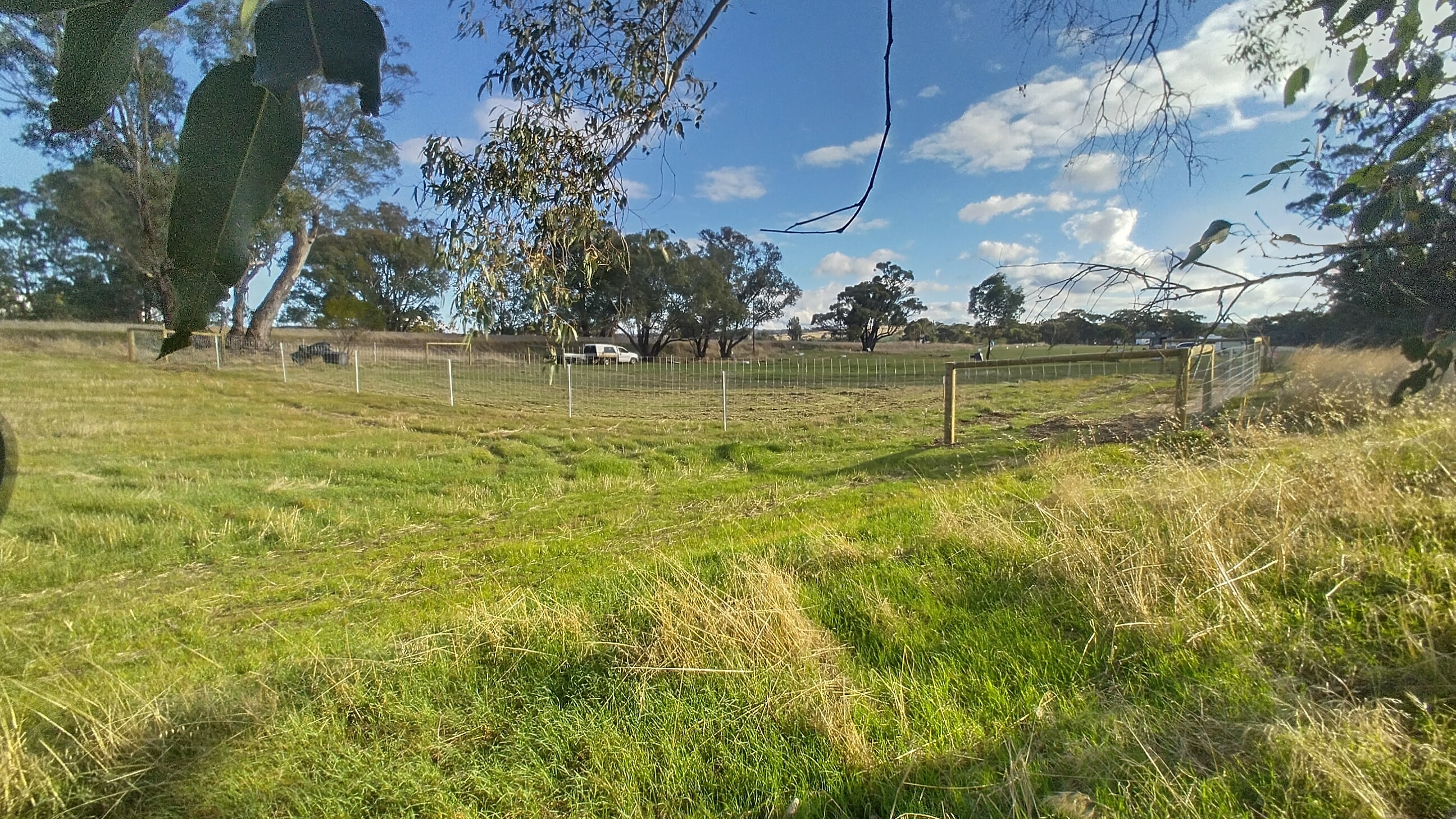 Ground-level view of the fenced paddock — 1,138m² of possibility