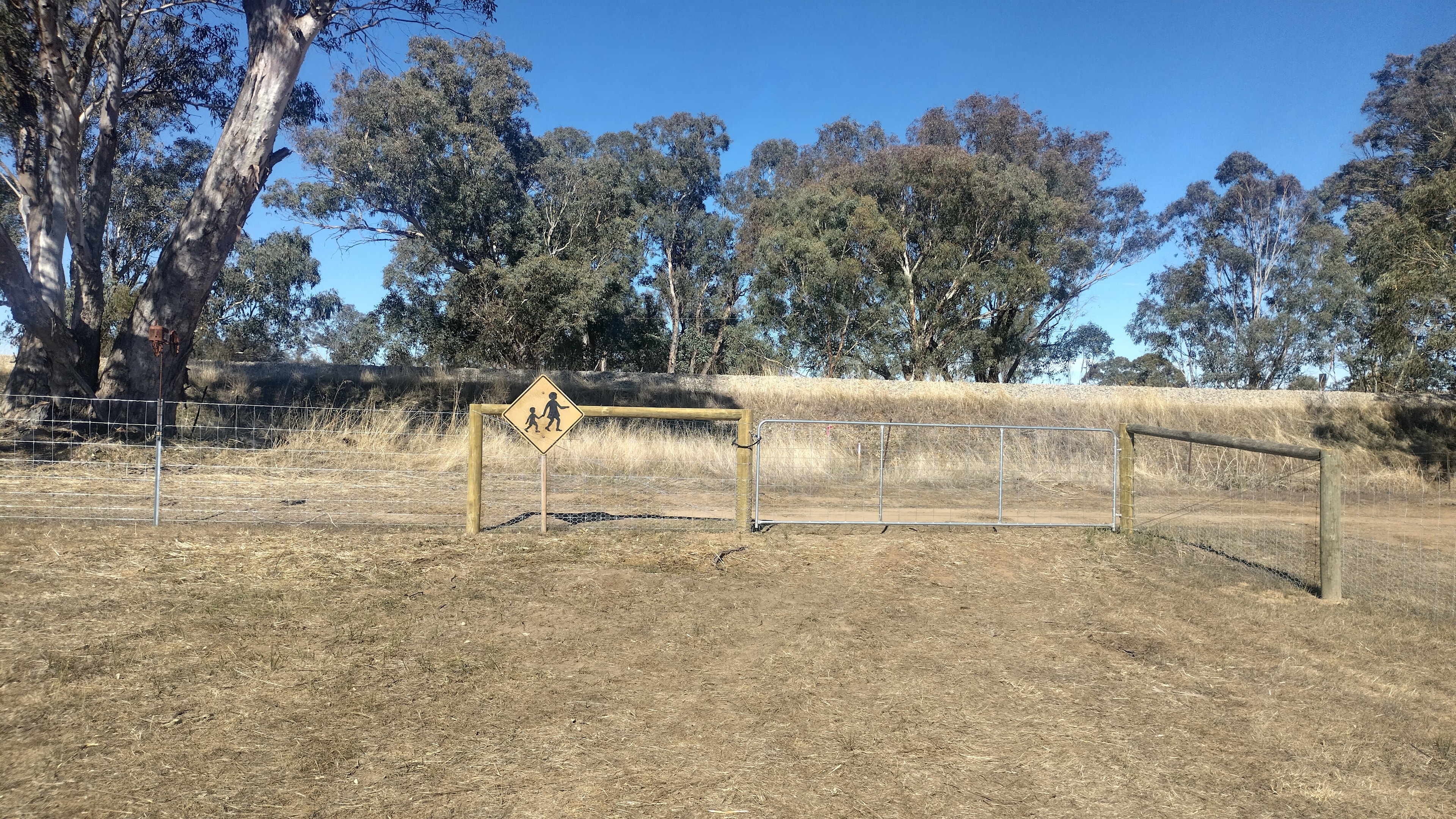 The block, professionally fenced and ready — a big old gum stands sentinel